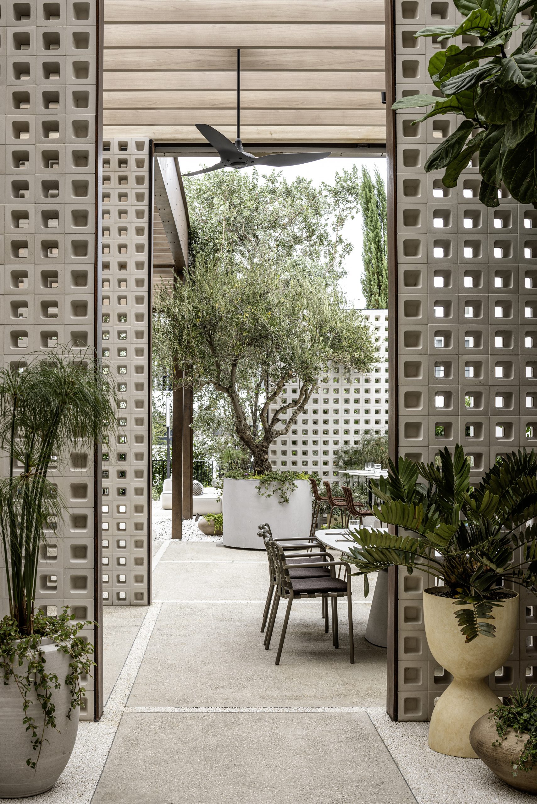 MALKA_REST_008-scaled MALKA_REST_008-scaled